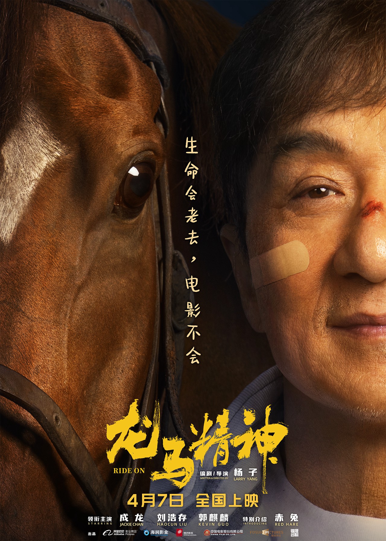 限定视角口碑新片